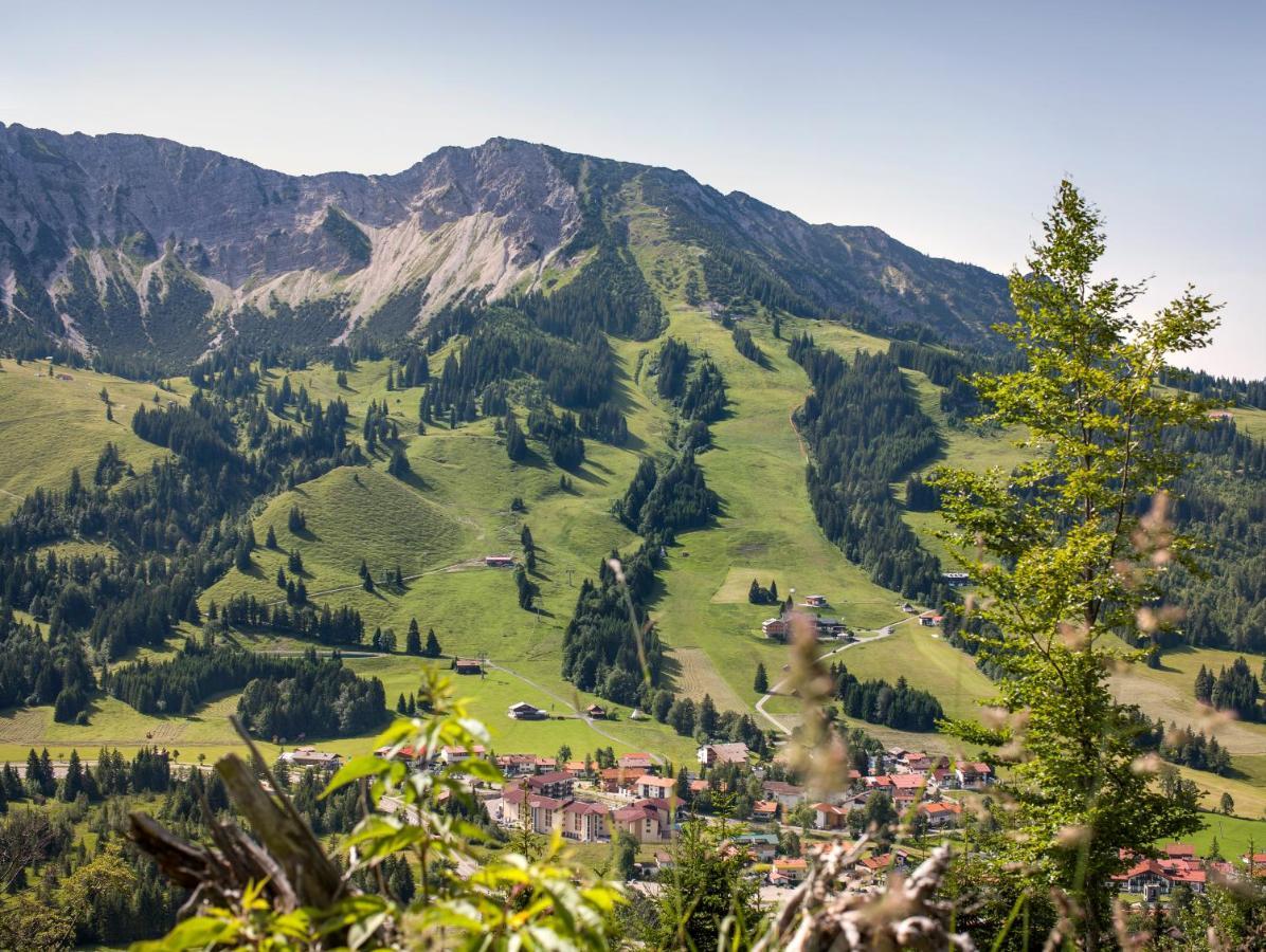 Alpin Lodges - Moderne Appartements Mit Zugang Zu 3000 Qm Spa Panoramahotel Oberjoch バート・ヒンデラング エクステリア 写真