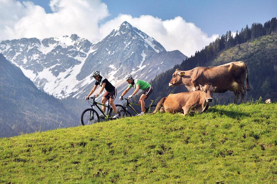 Alpin Lodges - Moderne Appartements Mit Zugang Zu 3000 Qm Spa Panoramahotel Oberjoch バート・ヒンデラング エクステリア 写真